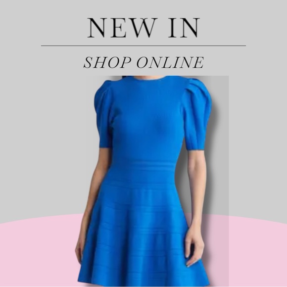 - Blue Fit and Flare Mini Dress with Puff Sleeves - Picture 1 of 15